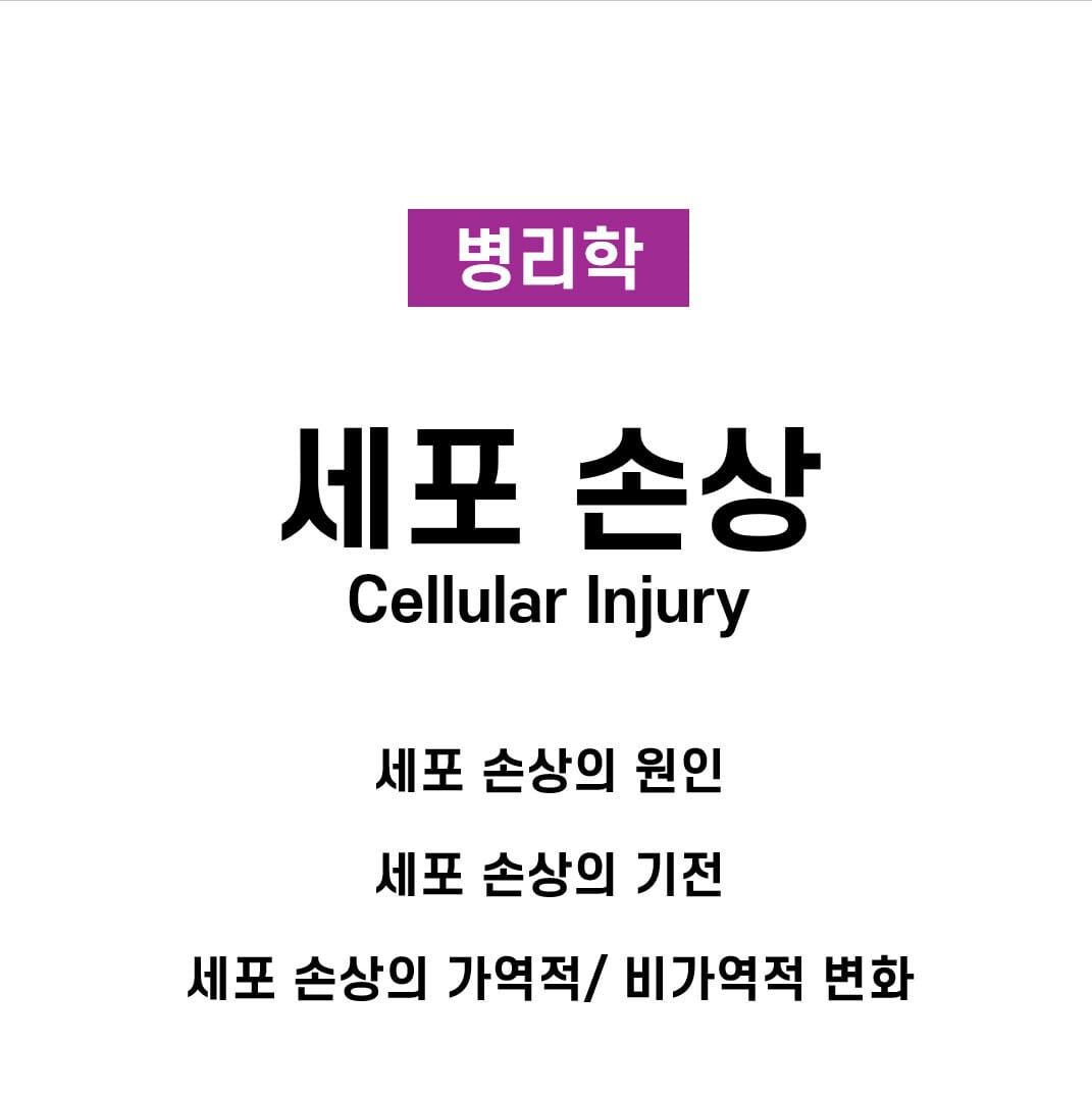 세포 손상