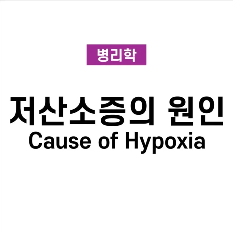 저산소증 원인