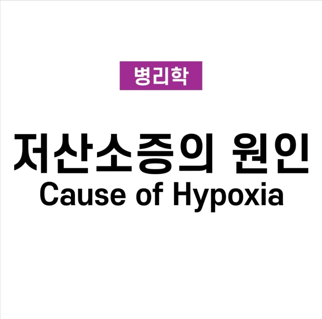 저산소증 원인