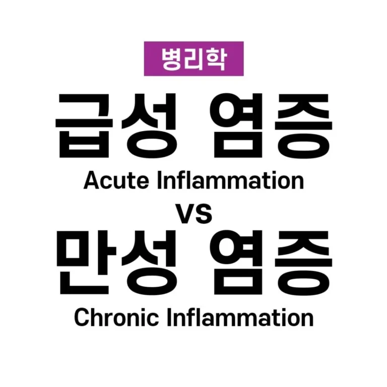 염증 02. 급성 염증과 만성 염증