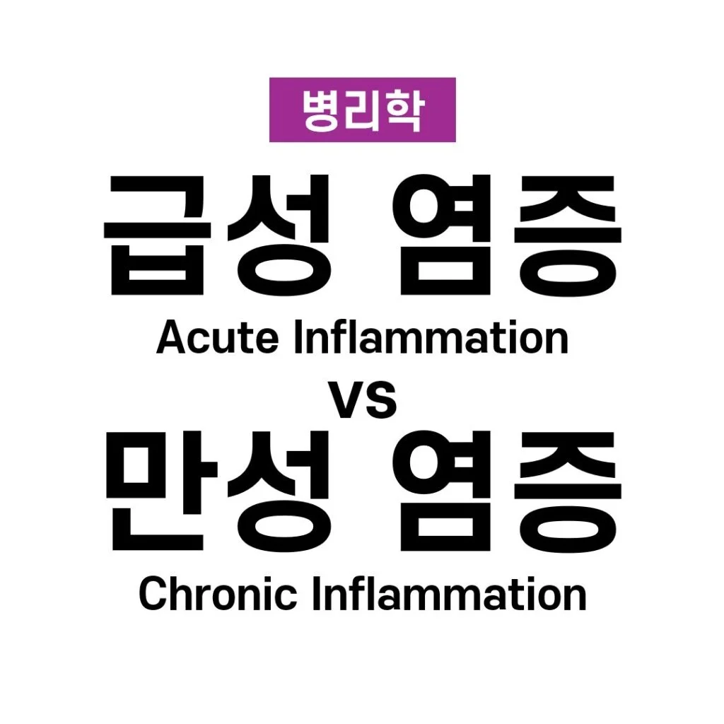 염증 02. 급성 염증과 만성 염증