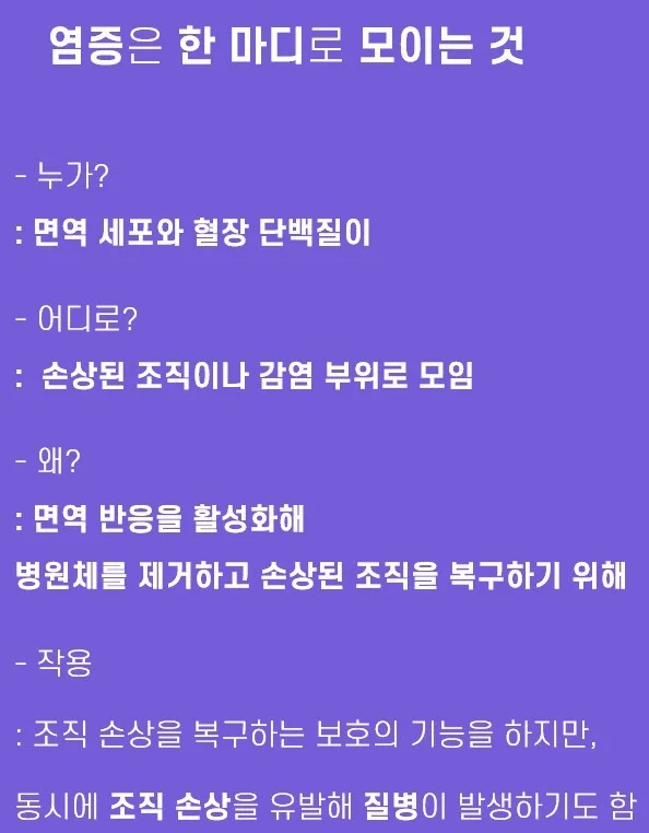염증 반응