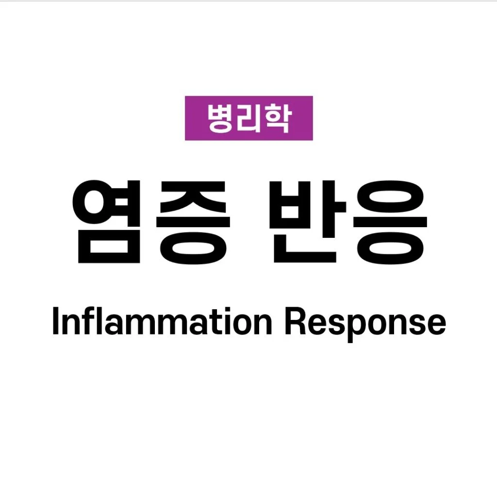 염증 반응