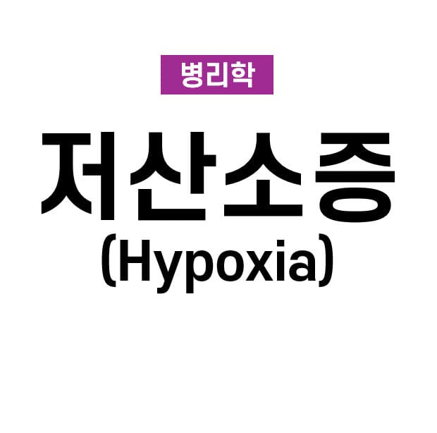 저산소증 (Hypoxia)