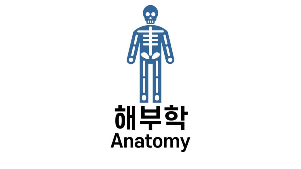 대뇌 기저핵 (Basal Ganglia) - 의학당