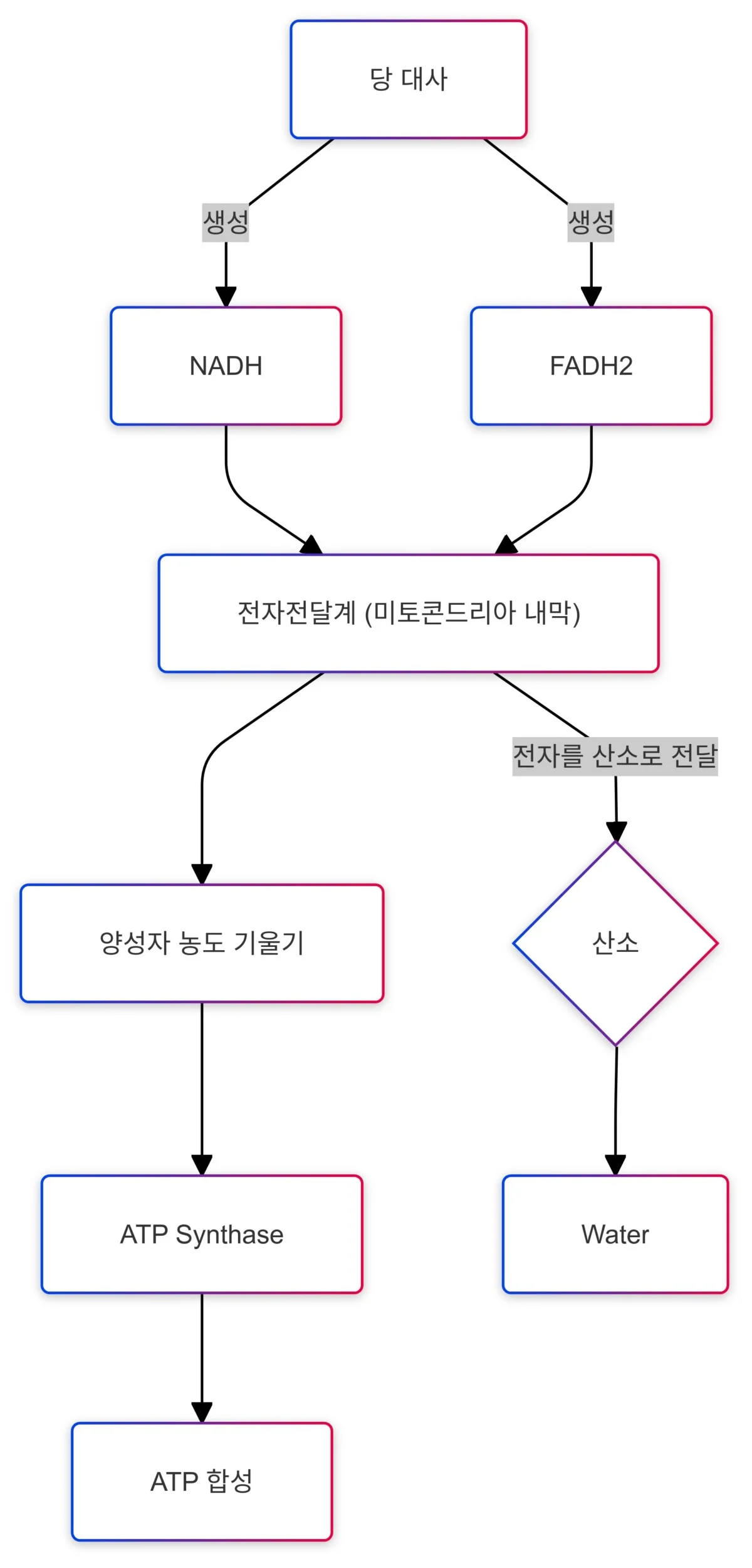 산화적 인산화 - 저산소증 설명