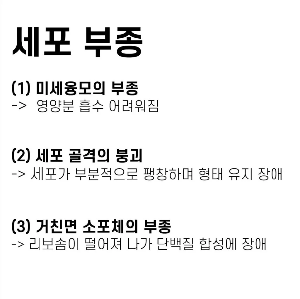 저산소증 세포 부종