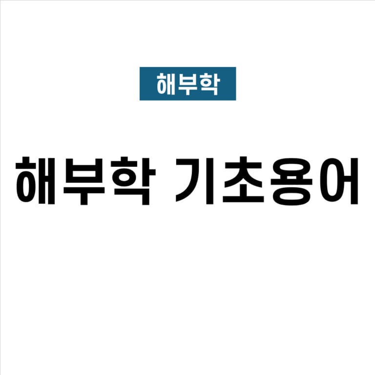 해부학 기초