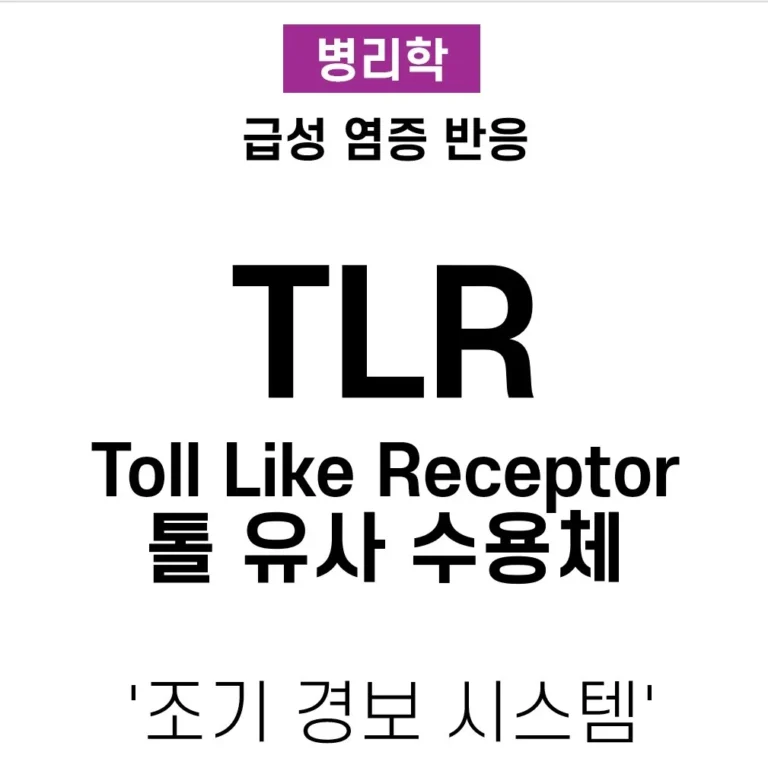 TLR