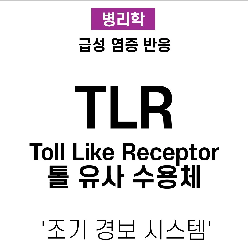 TLR