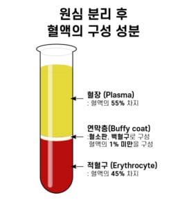 혈액의 성분 (Component of Blood) - 의학당