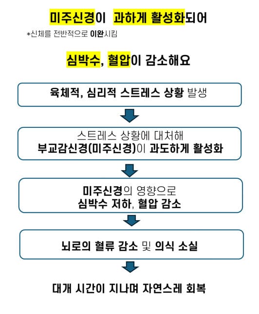 미주신경성 실신