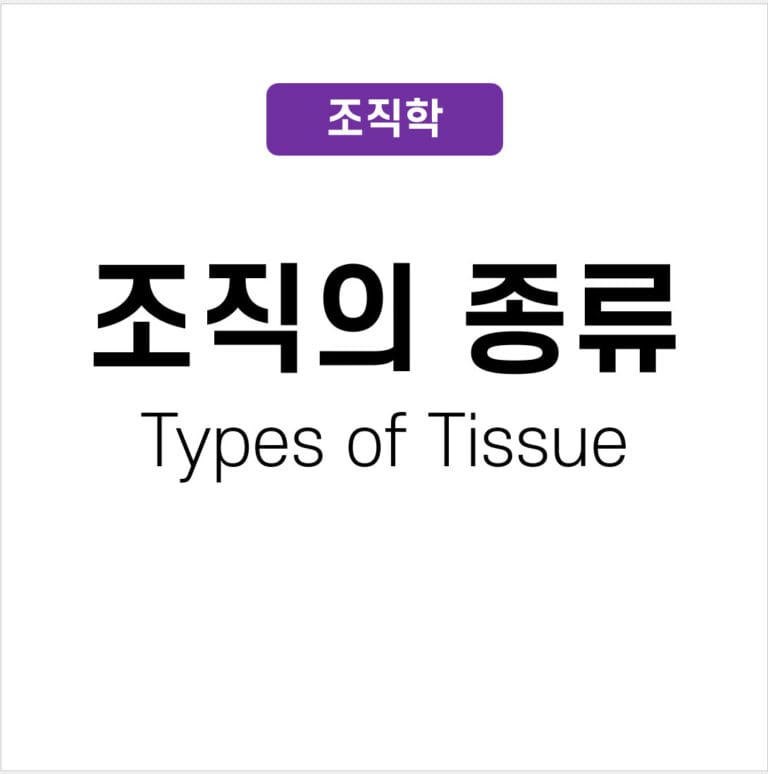 types of tissue