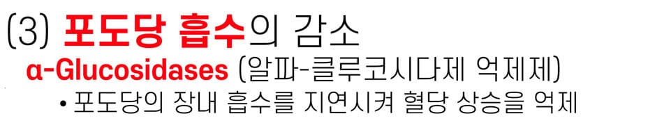 경구 혈당강하제 - 포도당 흡수 감소 