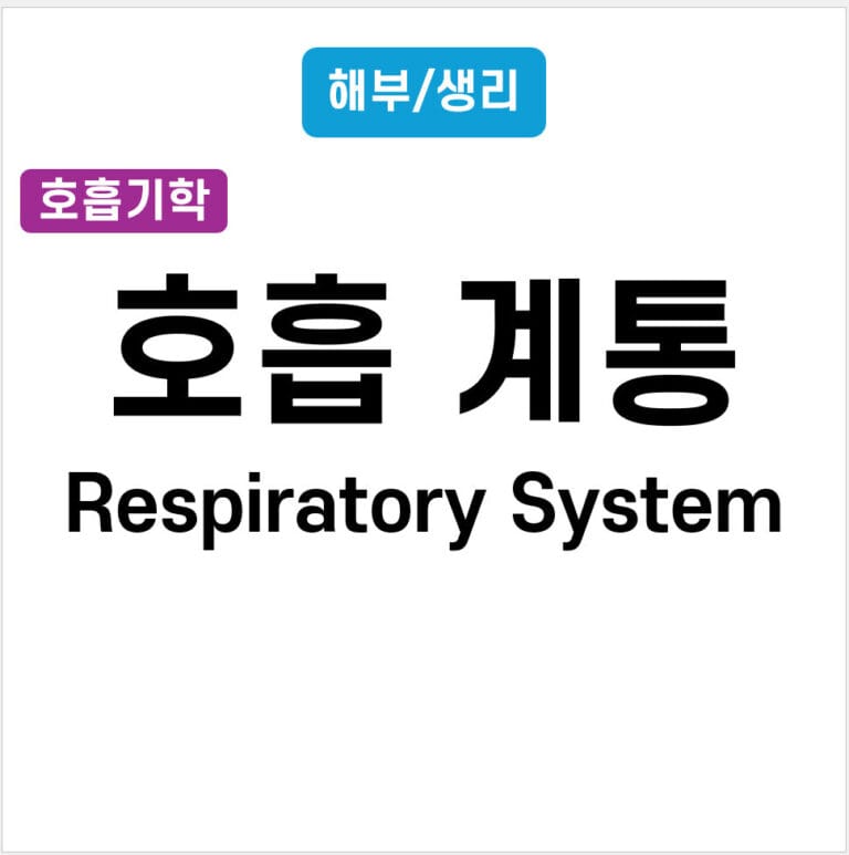 호흡계통