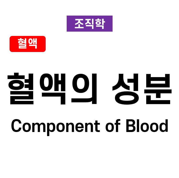 혈액의 성분 (Component of Blood)
