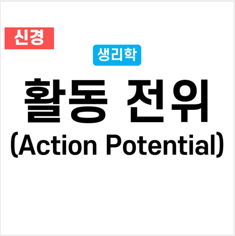 action potential, 활동 전위