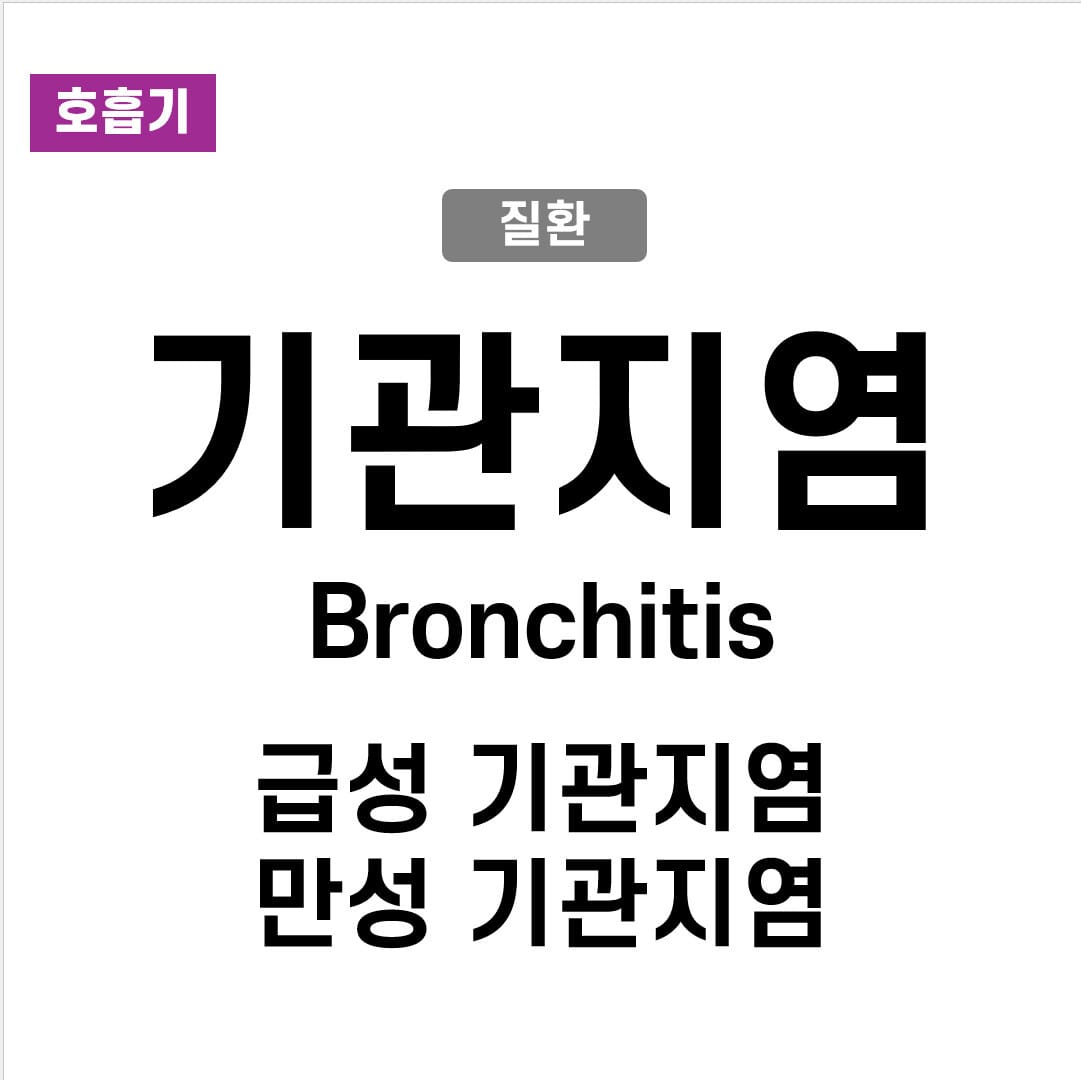 기관지염 (Bronchitis)