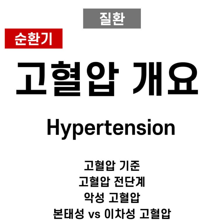 고혈압 (Hypertension)  개요