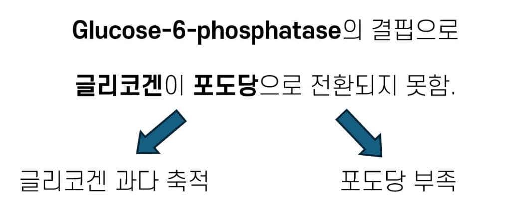 Von Gierke 병 (당원병 1a형, Glycogen Storage Disease Type 1)
