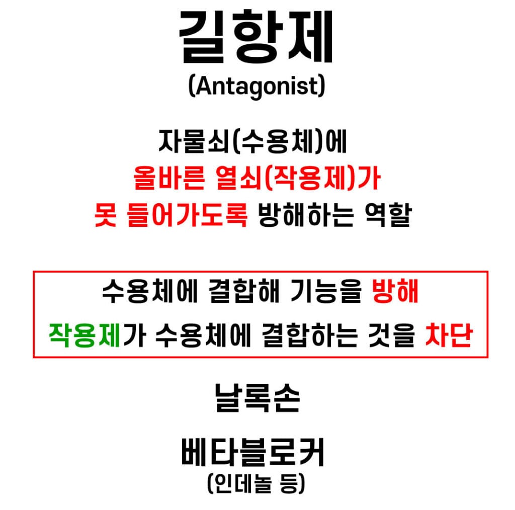 길항제와 길항작용 (Antagonist, Antagonism) 