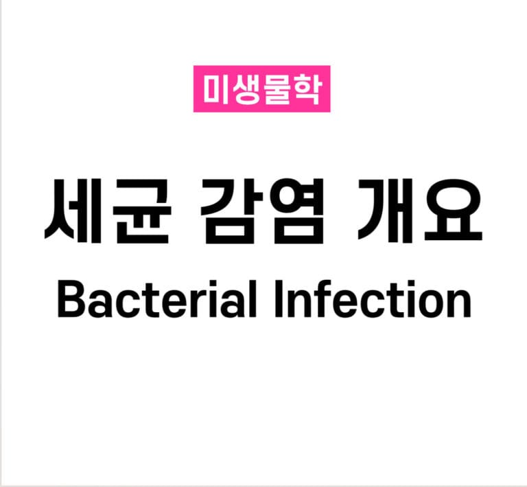 세균학 01. 세균 감염 (Bacterial Infections) 개요