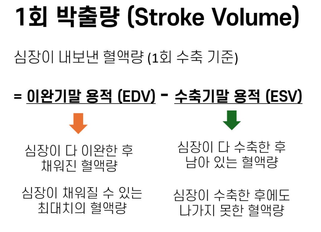 Stroke Volume