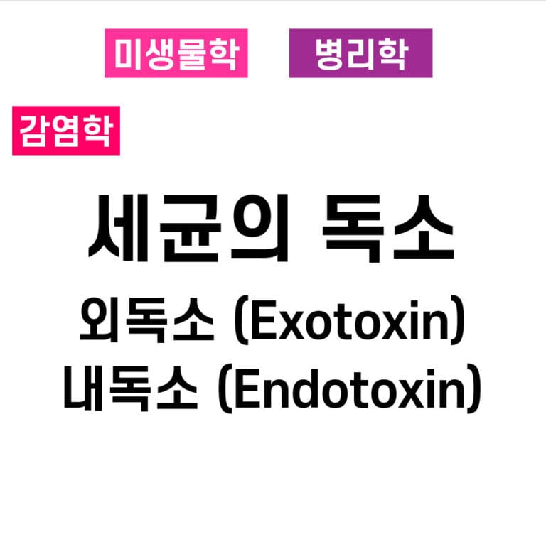 외독소 (Exotoxin), 내독소 (Endotoxin) | 세균의 독소 (Bacterial Toxins)