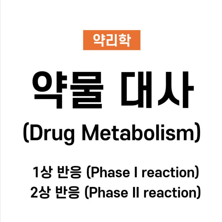 약물 대사 (Drug Metabolism)