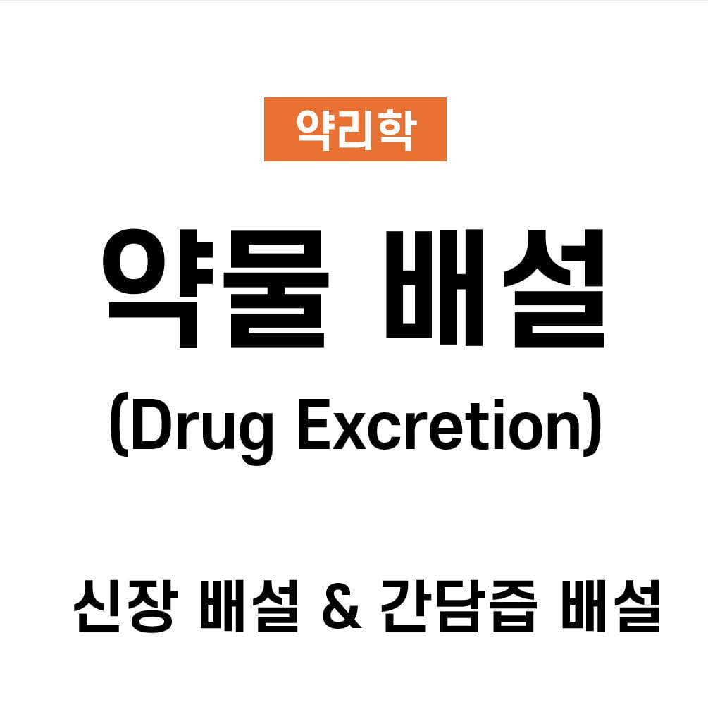 약물의 배설(Drug Excretion): 신장 배설과 간담즙 배설
