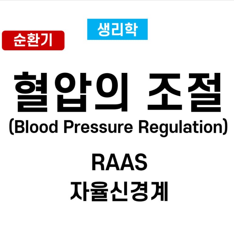 혈압 조절 (Blood Pressure Regulation)