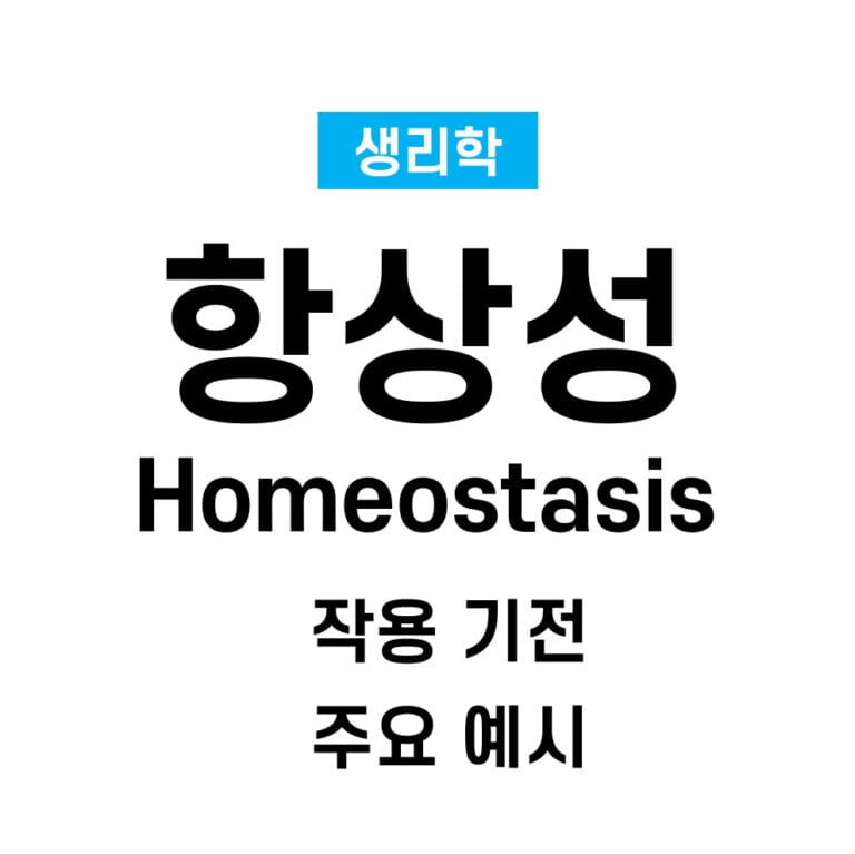 항상성 (Homeostasis) : 작동원리와 주요 예시
