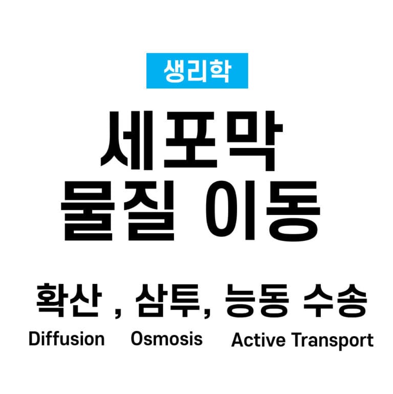 Transport Mechanism: Diffusion, Osmosis, Active Transport