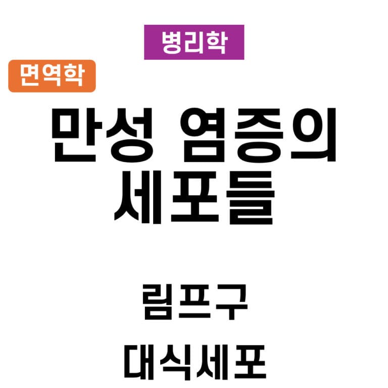 만성염증 세포들