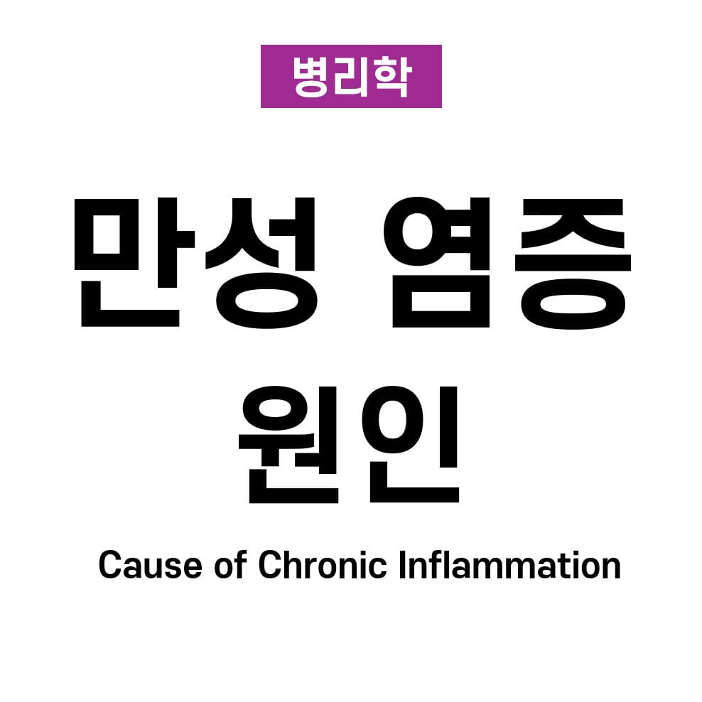 만성 염증의 원인