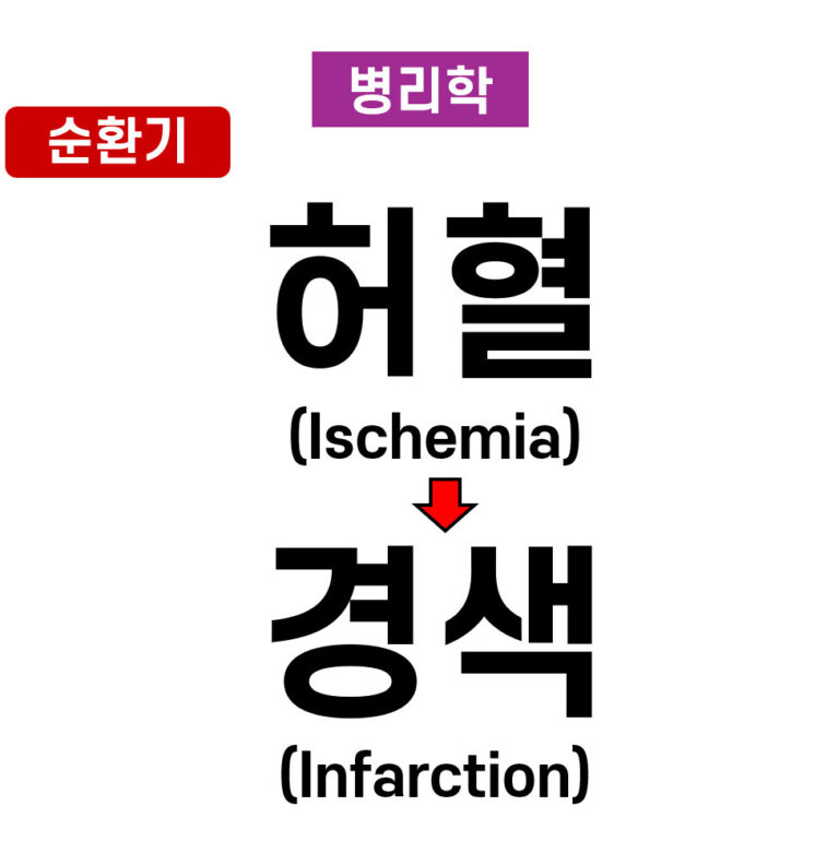 허혈(Ischemia), 경색 (Infarction)