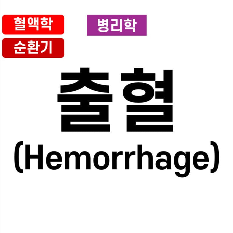 출혈 (Hemorrhage)