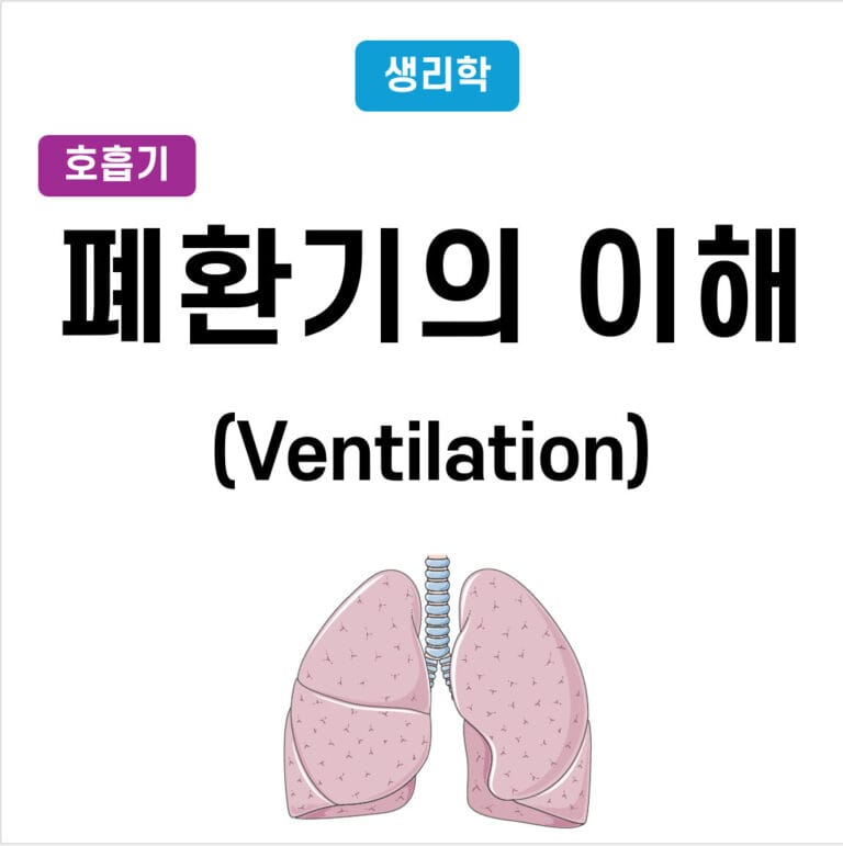Pulmonary Ventilation