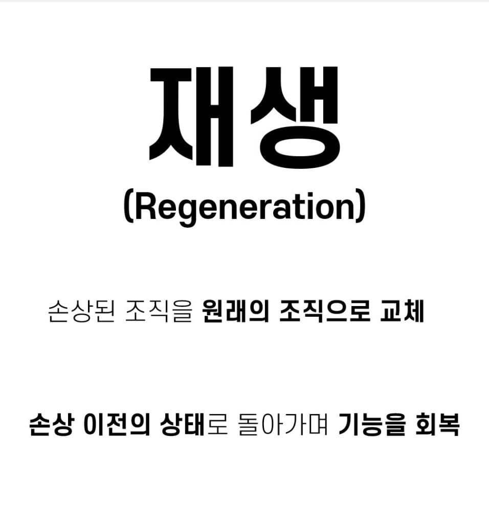 재생(Regeneration)