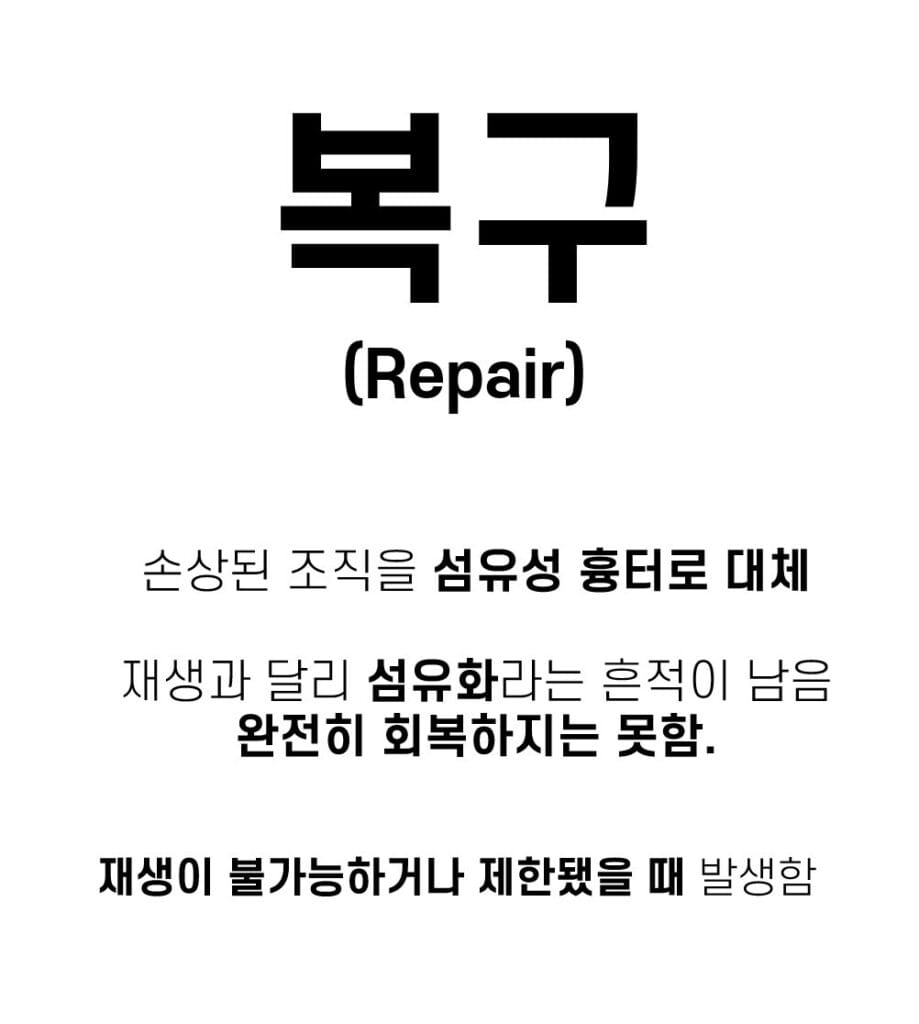 복구(Repair)