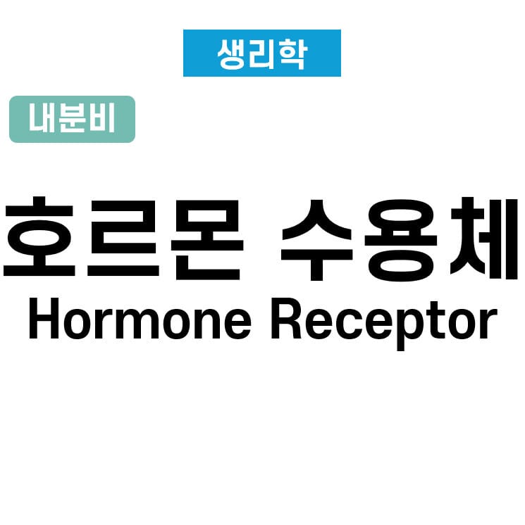 호르몬 수용체와 작용 기전 (Hormone receptor)
