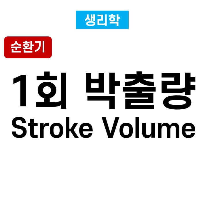 1회 박출량 (Stroke Volume)