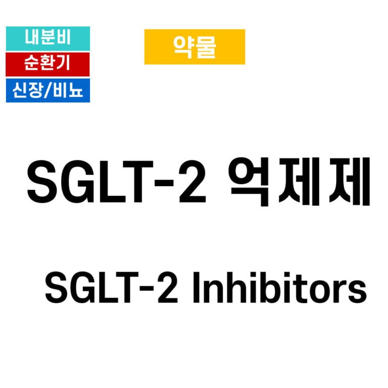 SGLT2 억제제 (SGLT2 inhibitors, Sodium-Glucose Cotransporter-2 Inhibitors)