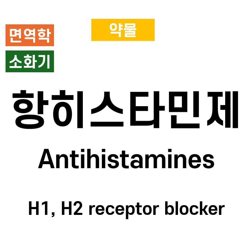 항히스타민제 (Antihistamines)