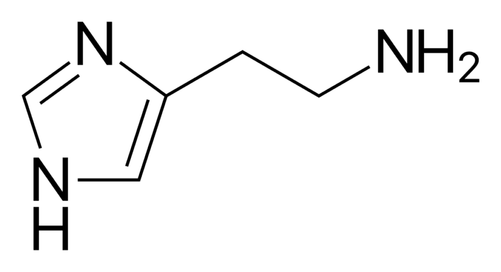 항히스타민제 (Antihistamines)