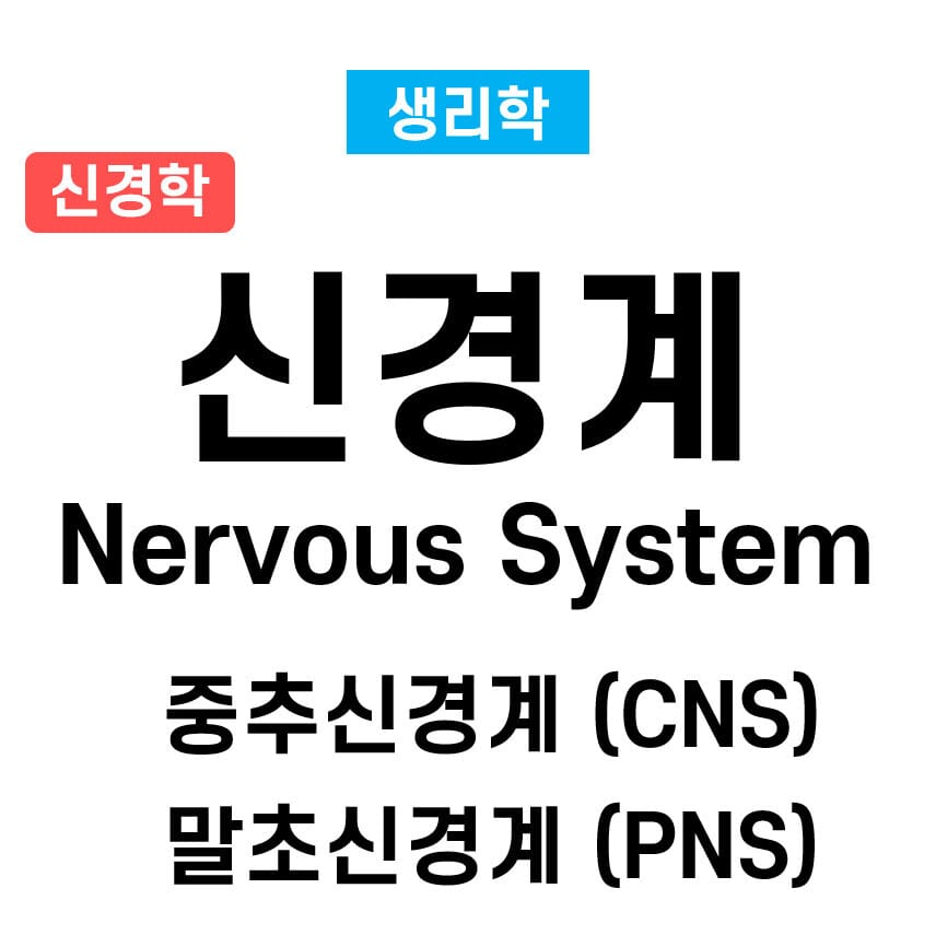 중추신경계(CNS) 와 말초신경계(PNS)