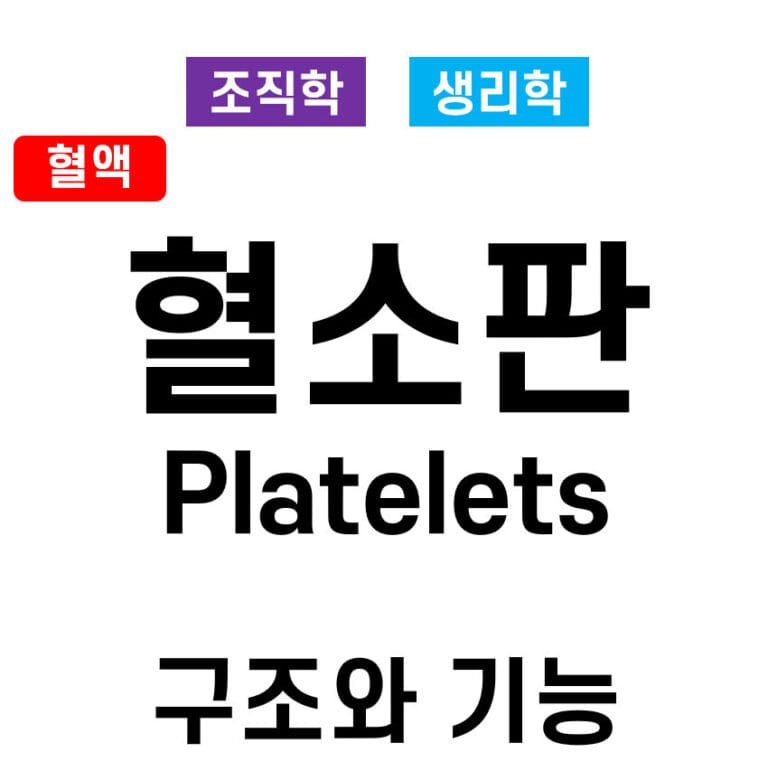 혈소판 (Platelets)