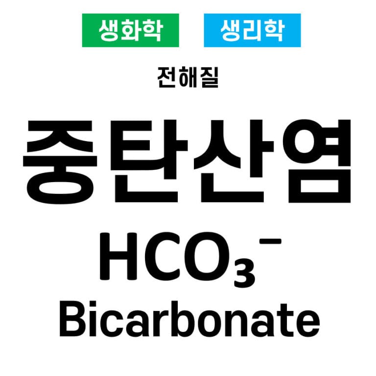전해질 04. 중탄산염(HCO₃⁻, Bicarbonate)의 역할