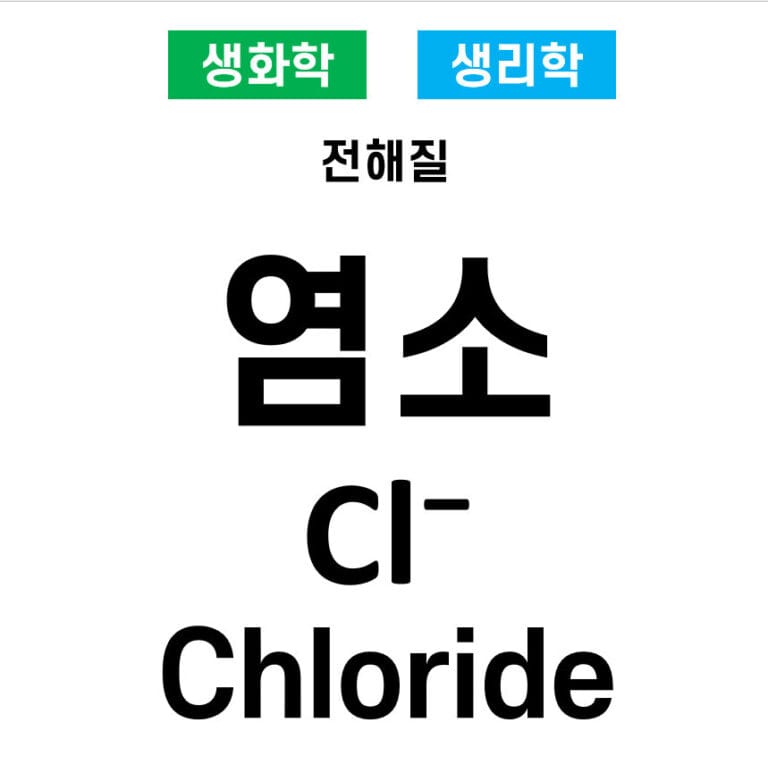 전해질 03. 염소(Cl⁻, Chloride)의 역할