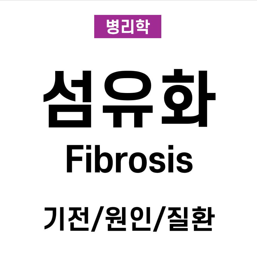 섬유화(Fibrosis) – 기전과 조직 변화